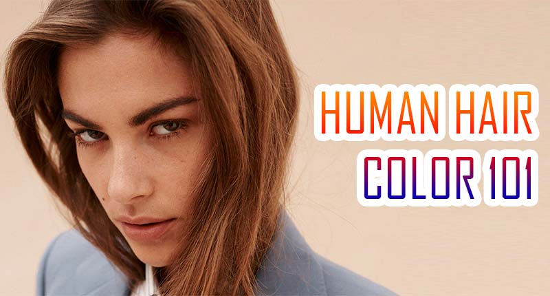 Human Hair Color 101: All You Need To Know About
