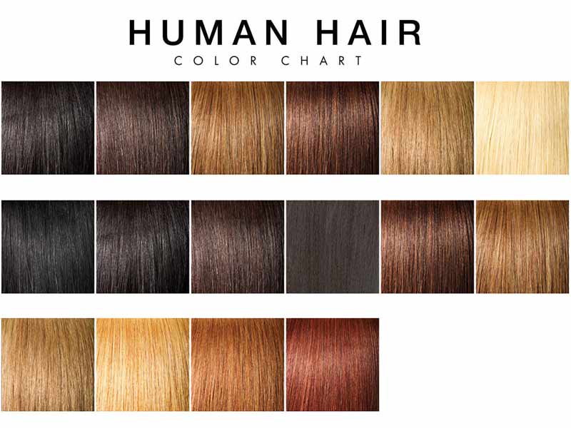 Human Hair Color Chart