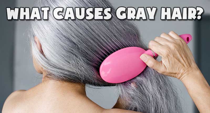 What Causes Gray Hair? The Real Reasons Revealed! - Lewigs