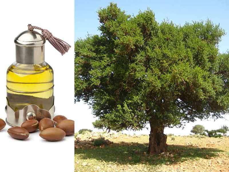 Best Argan Oil For Hair - How To Be More Effective?