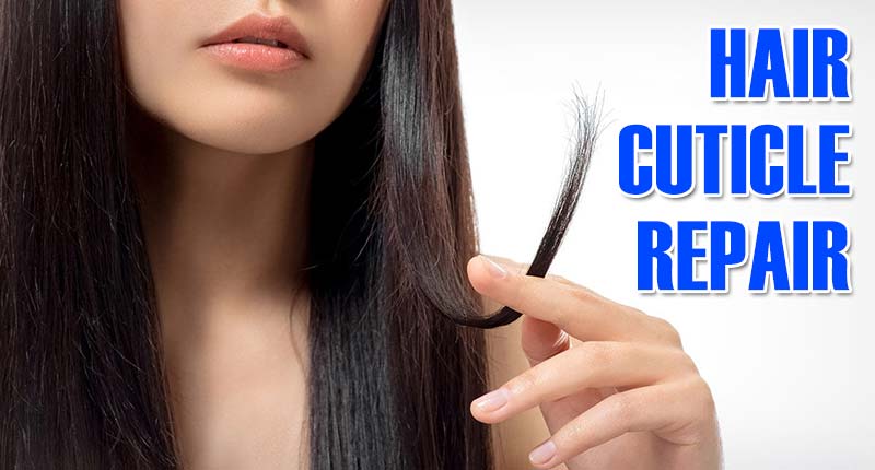 Master The Skills Of Hair Cuticle Repair Once And For All
