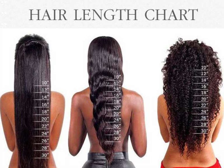 Hair Length Chart What You Don't Know May Shock You Lewigs