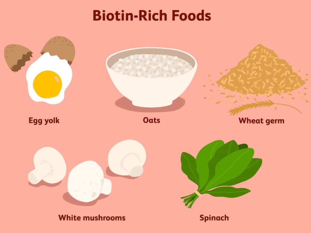 Biotin For Hair Growth: Everything You Should Know About