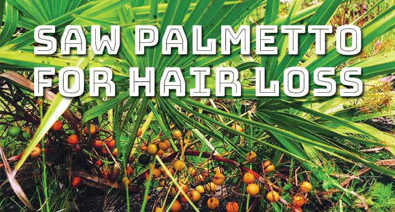 Saw Palmetto For Hair Loss - Is It The Right Strategy?