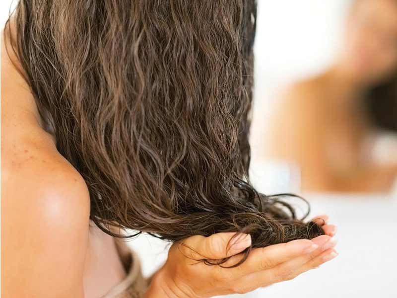 Jojoba Oil For Hair - How Can You Benefit From It?