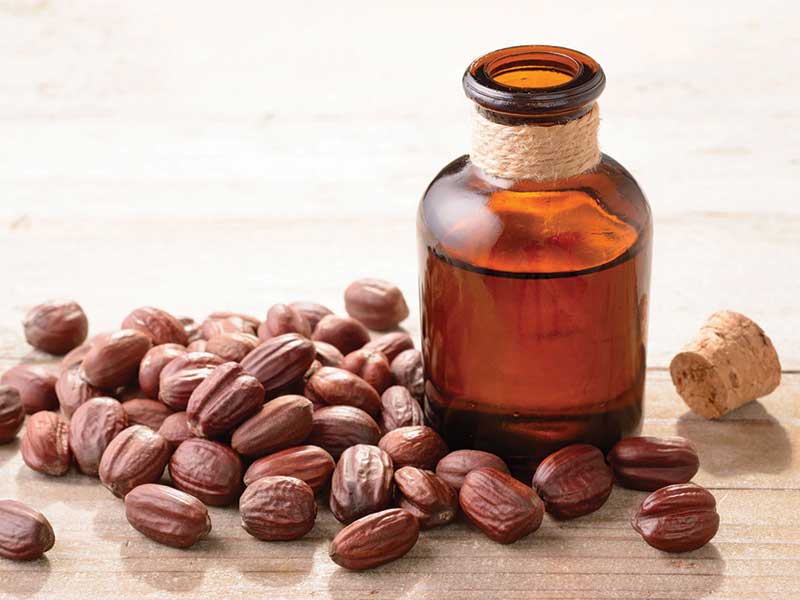 Jojoba Oil For Hair - How Can You Benefit From It?