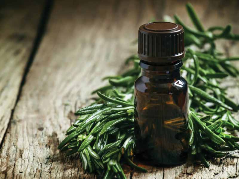 Get The Best Of Tea Tree Oil For Hair? - Do Like This!