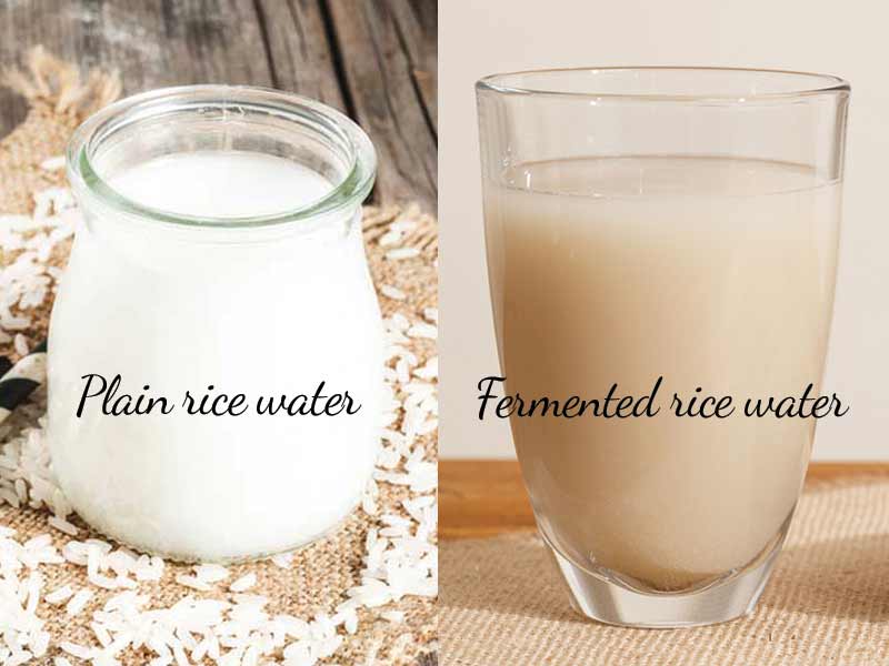 Rice Water For Hair All You Need To Know About Lewigs