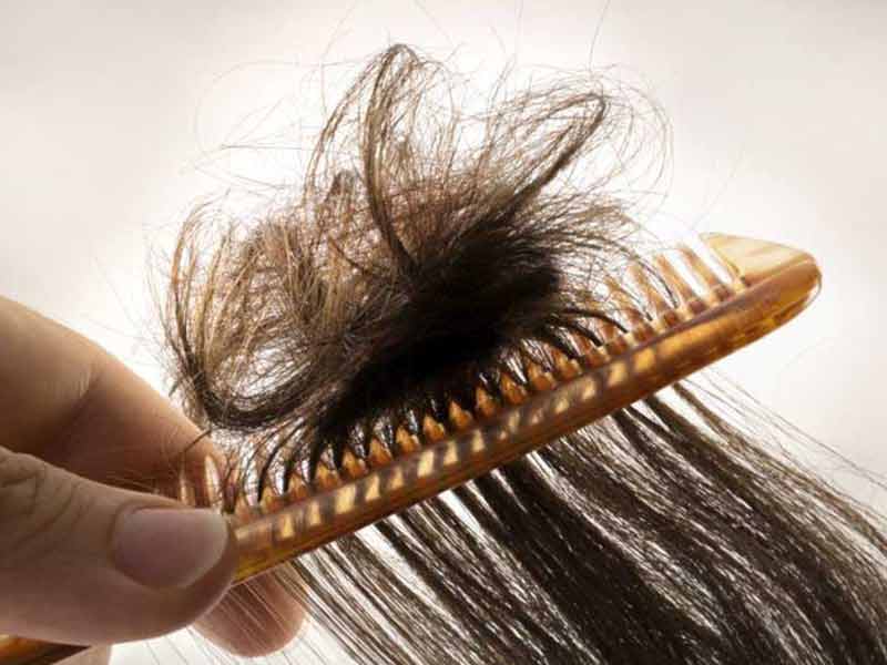 7 estrategias ganadoras para quitar los nudos del cabello - Lewigs