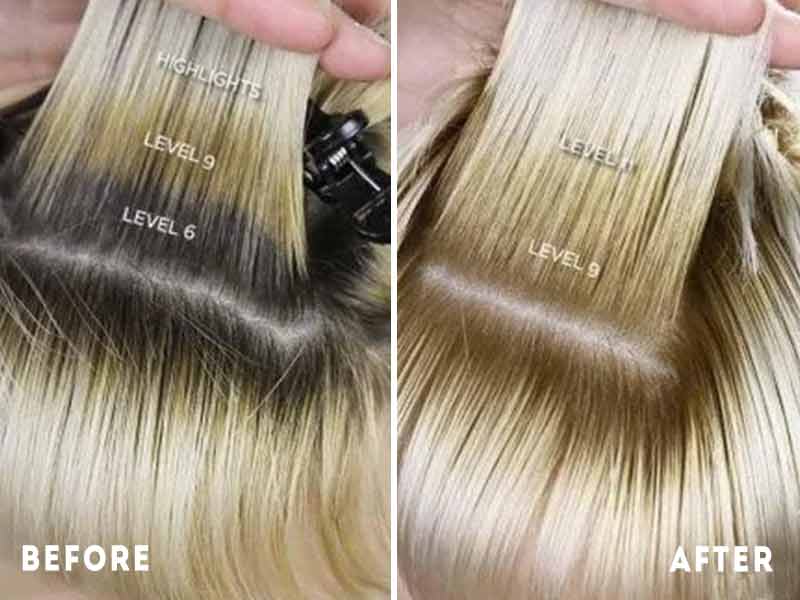 6 Smart Ideas To Dye Hair Grey From Dark Brown