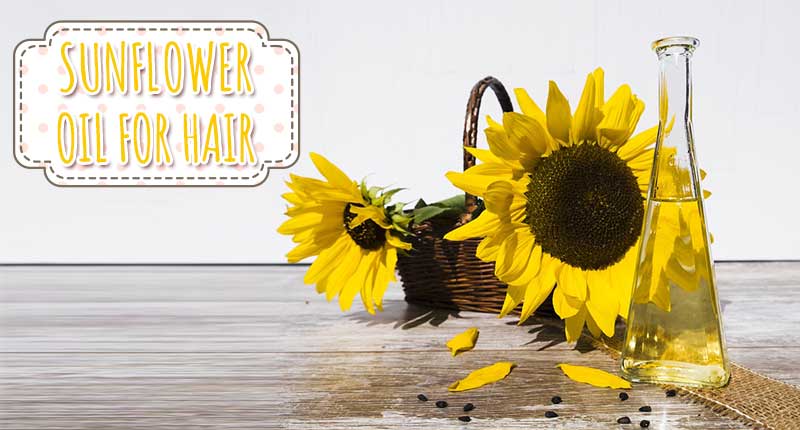 How To Make The Best Use Of Sunflower Oil For Hair?