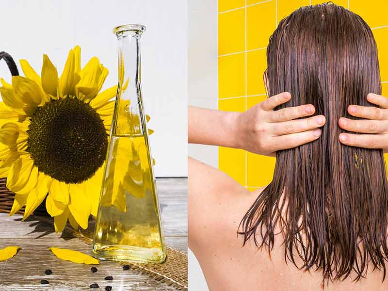 How To Make The Best Use Of Sunflower Oil For Hair?