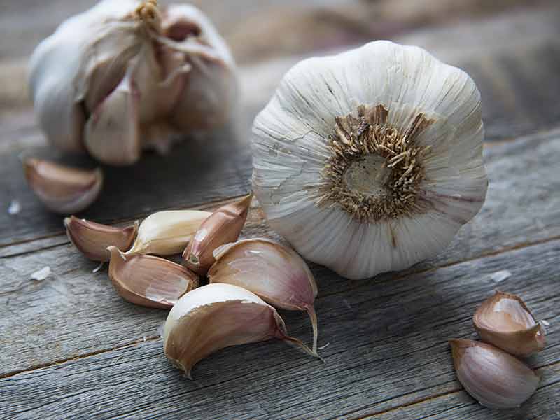 Revolutionize Your Garlic For Hair Loss With These Easy-Peasy Tips