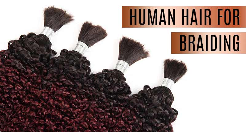 The Hidden Truth On Human Hair For Braiding Exposed