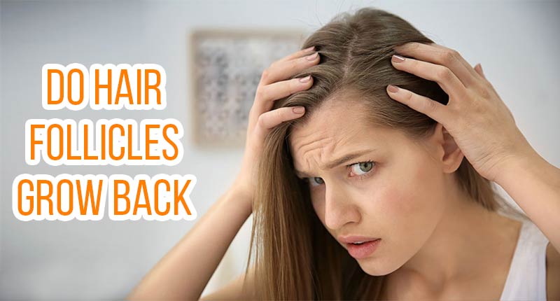 Do Hair Follicles Grow Back? You'd Better Find The Other Way Out