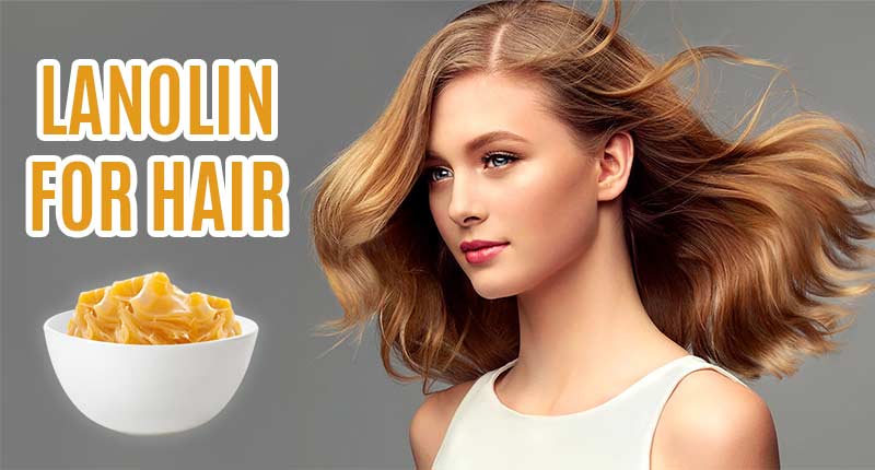 Lanolin For Hair - Everything You Need To Know About