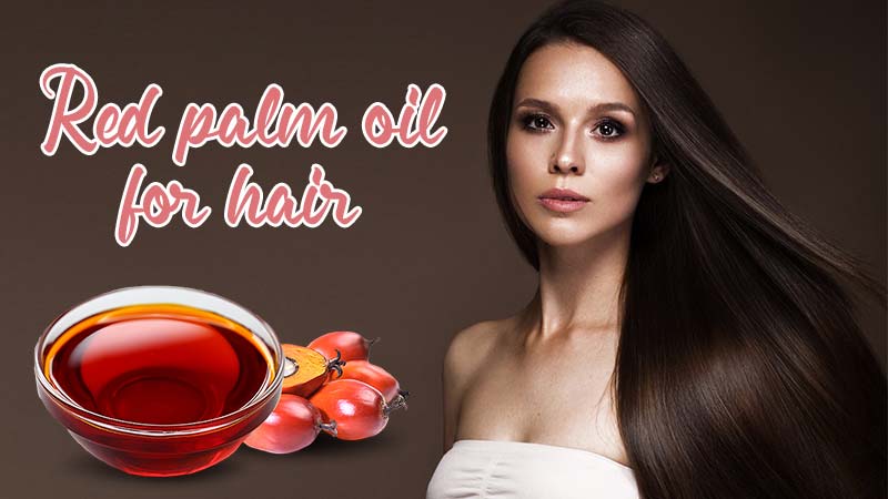 A-Z Guide About Red Palm Oil For Hair To Grab With