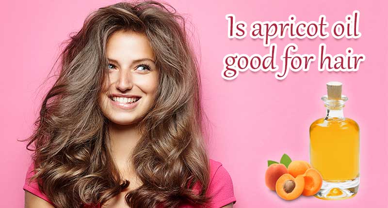 Is Apricot Oil Good For Hair? How To Take Advantage From It